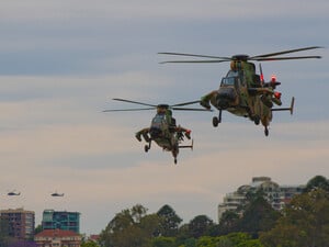 Австралія може передати Україні два десятки ударних гелікоптерів – ЗМІ
