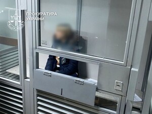 Судитимуть екстрадовану з Німеччини жінку за підозрою у вербуванні сурогатних матерів