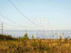 Надлишок електроенергії в окремі години доцільно експортувати – Центр Разумкова