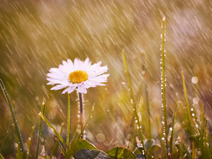 Сонце, вітер, мокрий сніг. Погода наступного тижня буде мінливою